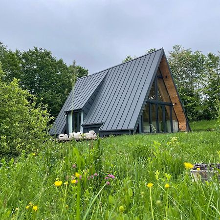 Cabana A-Frame Cricov 9 Valea Lunga-Ogrea Exterior photo